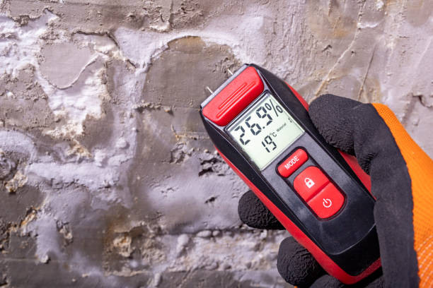 Best Office Mold Removal Services  in Belford, NJ